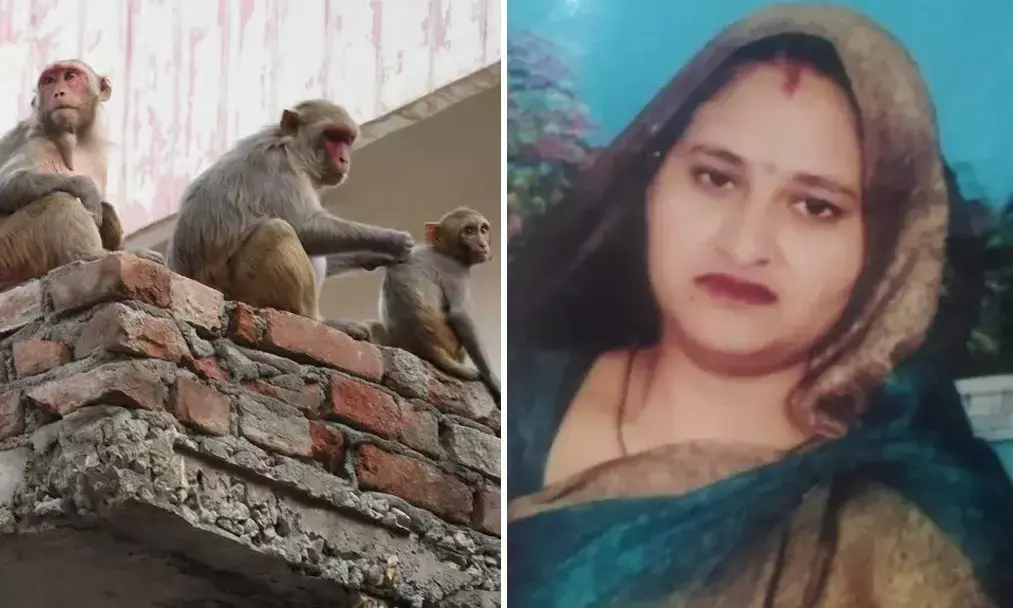 Ghaziabad Roof Collapsed