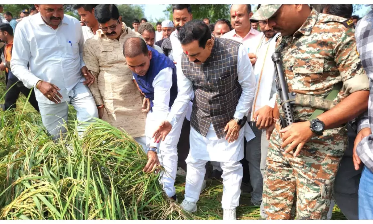 दतिया में बेमौसम बारिश से फसलों को नुकसान, पूर्व गृहमंत्री डॉ. नरोत्तम मिश्रा ने लिया जायजा