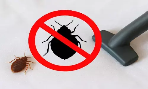 home remedies for bed bugs