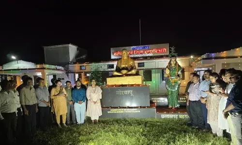 राज्य स्थापना दिवस : राज्योत्सव के अवसर पर कलेक्टर तुलिका प्रजापति ने की छत्तीसगढ़ महतारी की पूजा-अर्चना