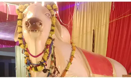 नंदी की प्रतिमा की पुर्नस्थापना : राग अनुराग कला मंच की प्रस्तुति से गुंजा सांकरा गांव