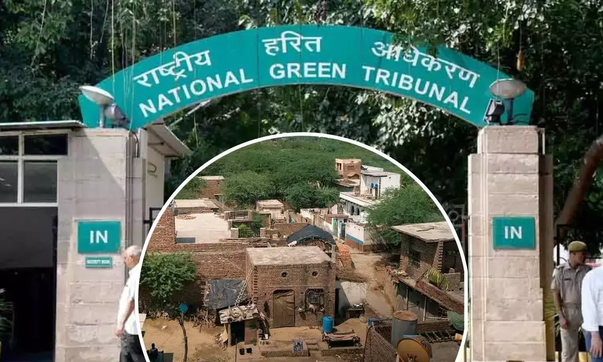 Haryana News Hindi Haryana News Hindi