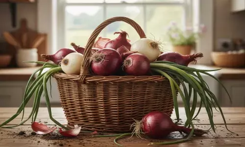 How to Identify Fresh Onions