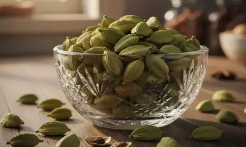 green cardamom health benefits hari elaichi ke fayde