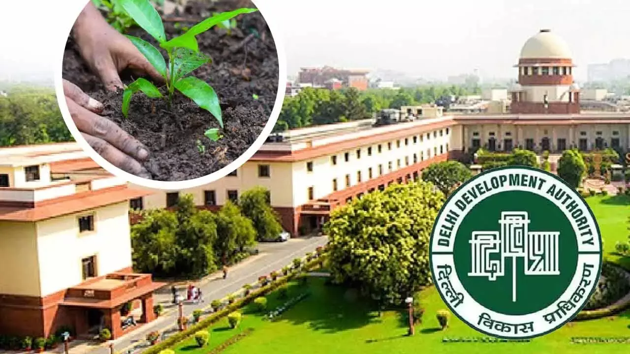 Supreme Court Orders DDA