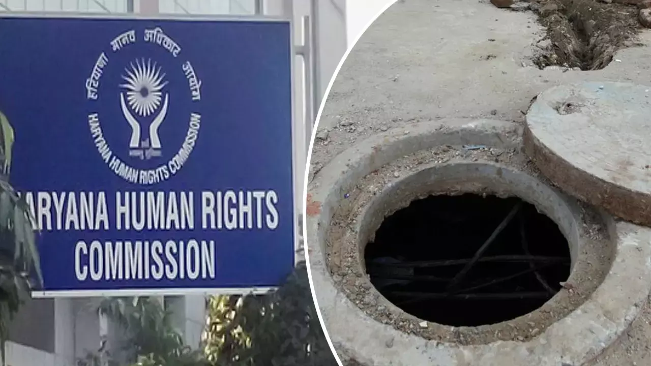 Haryana News Hindi Haryana News Hindi