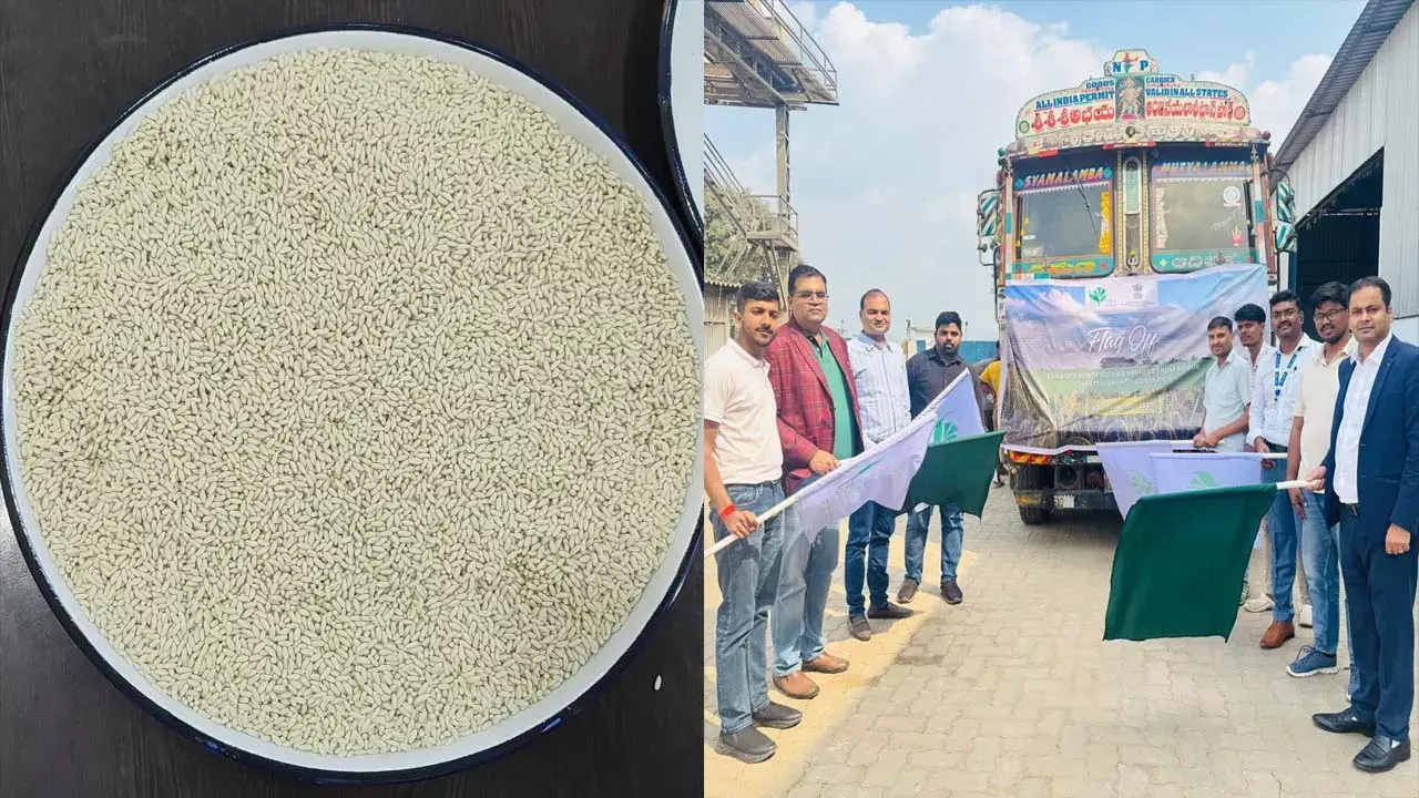 फोर्टिफाइड राइस फोर्टिफाइड राइस