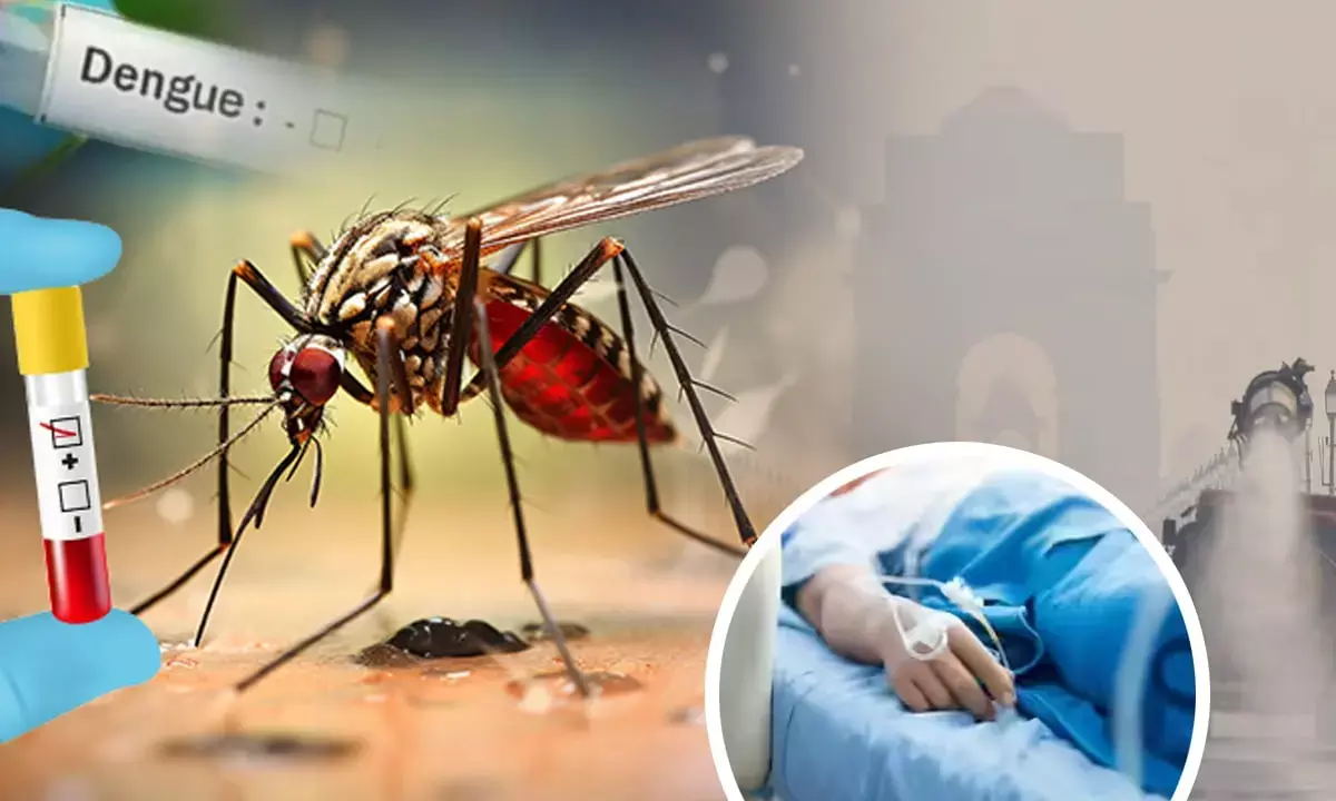 Air Pollution Negative effects on health