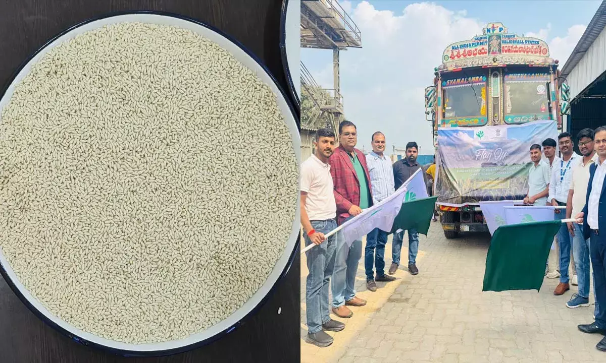 फोर्टिफाइड राइस