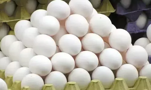 अंडे का फंडा : रोज 50 लाख से ज्यादा खा रहे छत्तीसगढ़िया, कीमत पहुंची सात रुपए