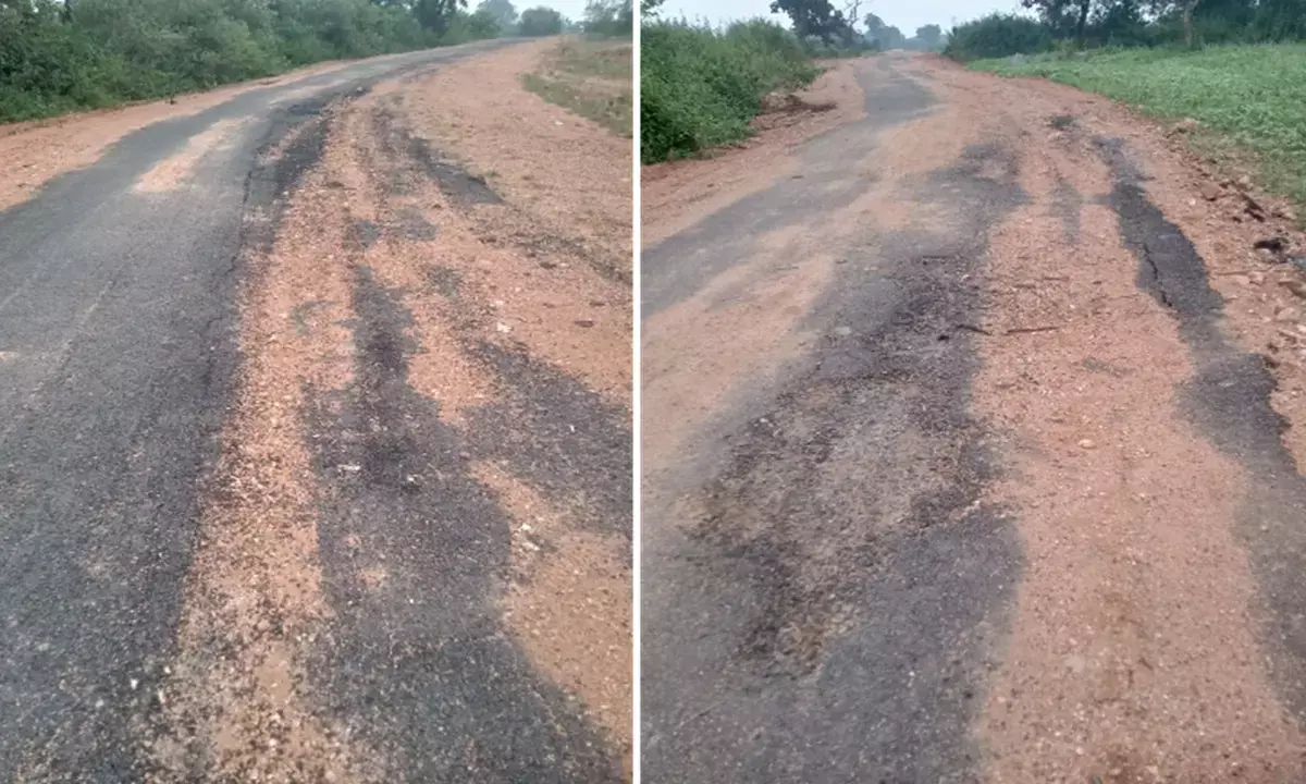 9 महीने में उधड़ गई सड़क : कोल्हेंनझरिया- सहलेश मार्ग के भीतर से झांकने लगी रेत-मुरुम
