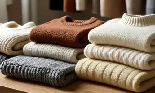 गर्म कपड़ों को साफ-सुधरा रखें