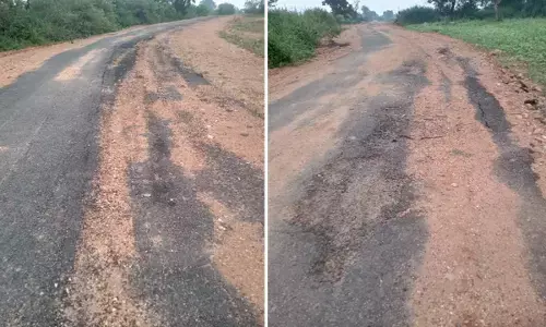9 महीने में उधड़ गई सड़क : कोल्हेंनझरिया- सहलेश मार्ग के भीतर से झांकने लगी रेत-मुरुम