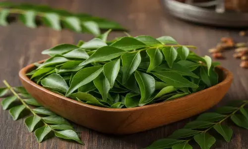 curry leaves health benefits