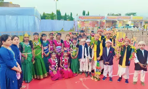 नन्हें कलाकारों ने राज्योत्सव में मचाया धमाल