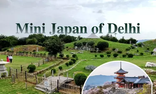 Mini Japan of Delhi