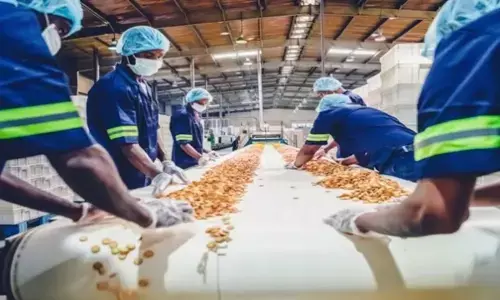 फूड प्रोसेसिंग यूनिट के लिए बड़ा ऐलान : स्थानीय लोगों को नौकरी की शर्त पर मंडी शुल्क में मिलेगी पांच करोड़ तक की छूट