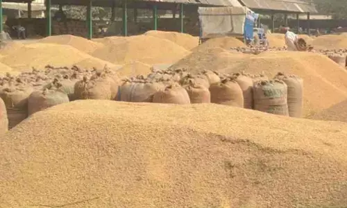 धान खरीदी के लिए बड़ा फैसला : जिन सोसायटियों में हुई धान की शार्टेज, उनके प्रबंधक इस साल रखे जाएंगे खरीदी से दूर