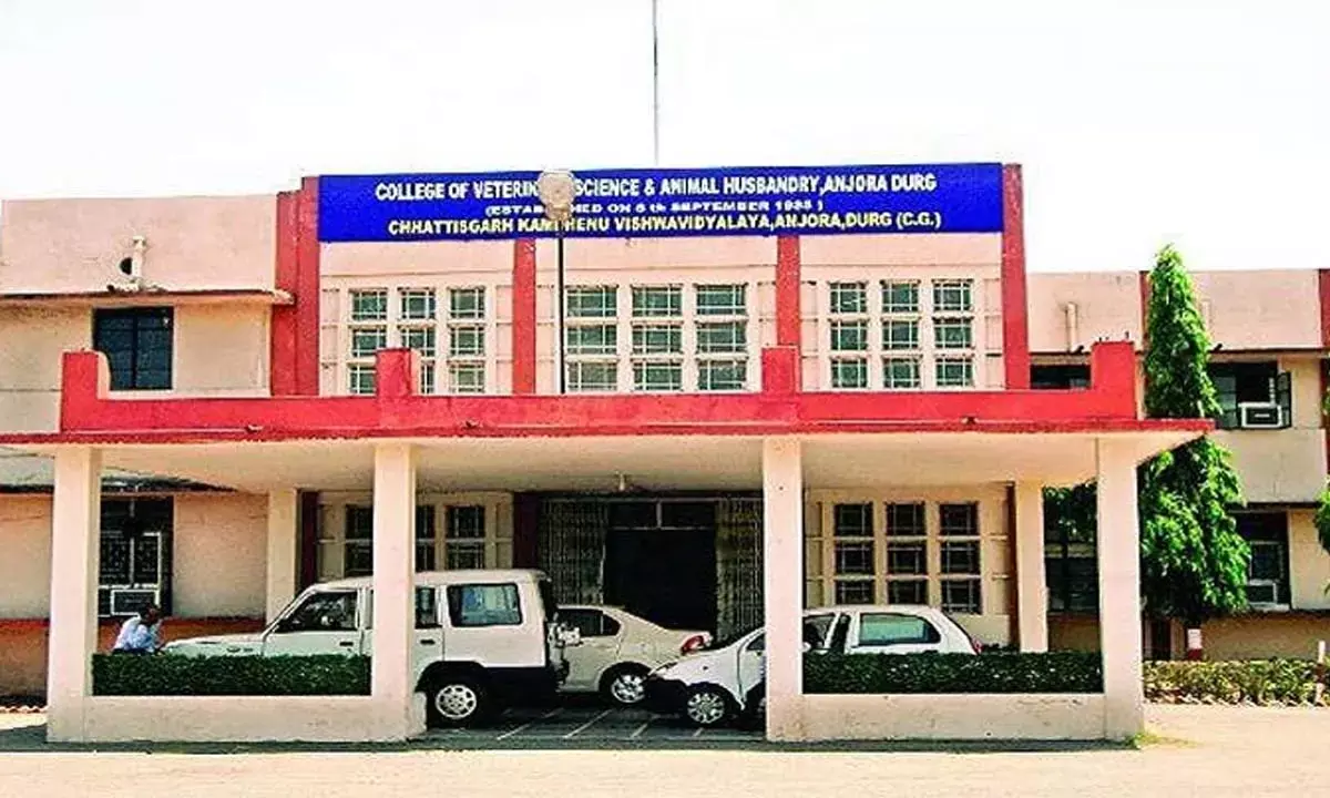 कामधेनु विवि. में भवन निर्माण घोटाला : बिल में डेढ़ करोड़ की अफरा-तफरी,   जाँच के निर्देश