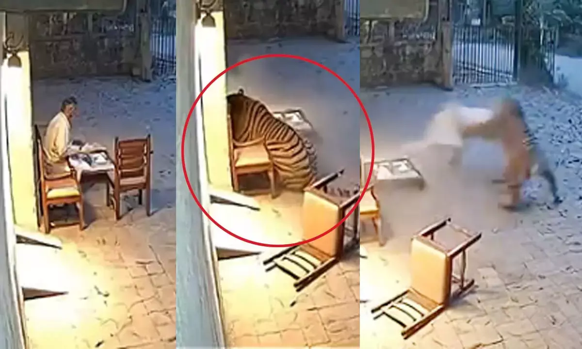 फॉरेस्ट कर्मचारी