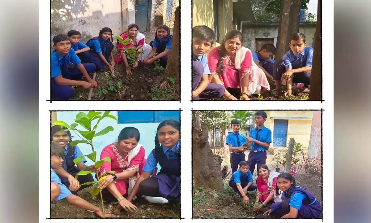 सरोरा स्कूल में बच्चों के सहयोग से लगाई बागवानी, सब्जियां भी उगाईं