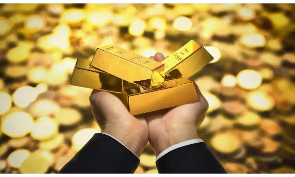 SEBI digital gold warning,
