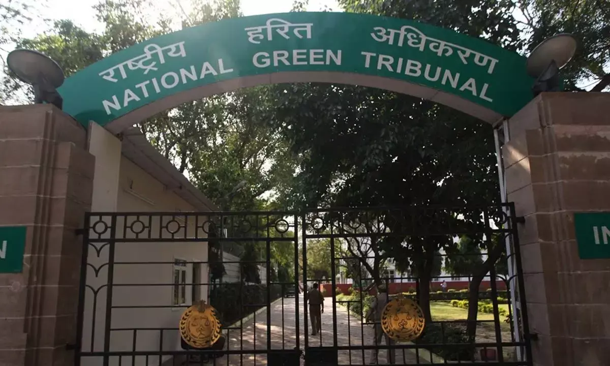 National Green Tribunal