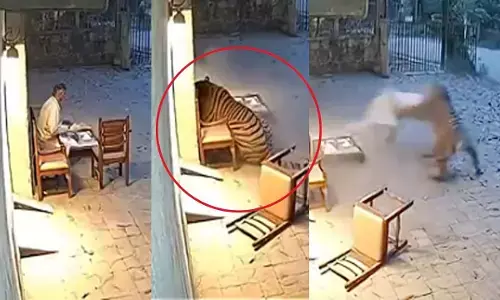 फॉरेस्ट कर्मचारी