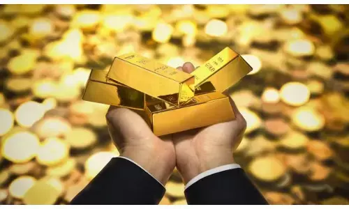 SEBI digital gold warning,