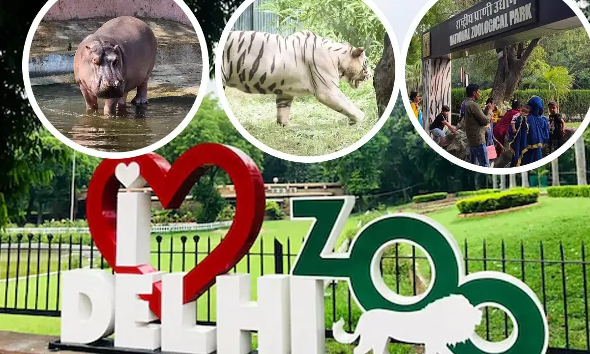 National Zoological Park