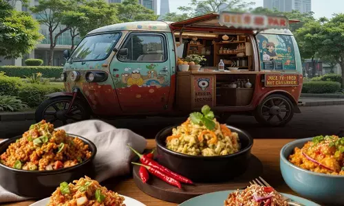 Delhi Mini Food Van