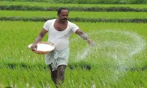 बस्तर में कुल फसल क्षेत्र 2025 तक बढ़कर 2 लाख 310 हेक्टेयर पहुंचा