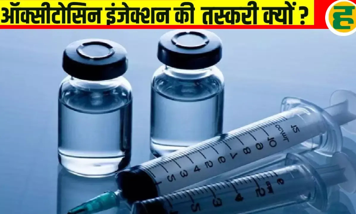 चीन निर्मित पाउडर से बने 49 लाख के ऑक्सीटोसिन इंजेक्शन बरामद!