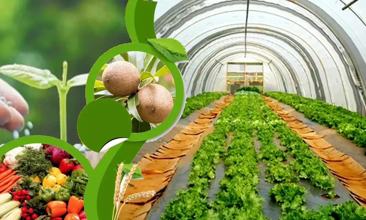 Haryana News Hindi Haryana News Hindi