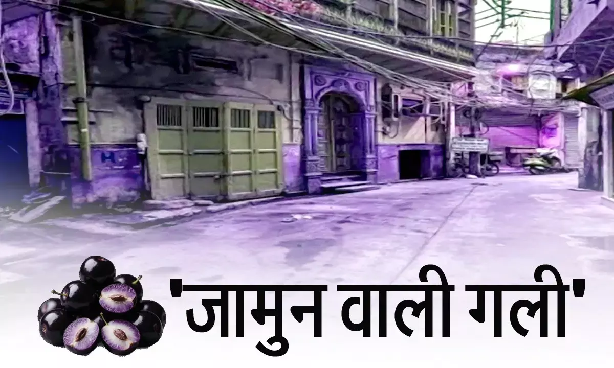 jamun wali gali old delhi