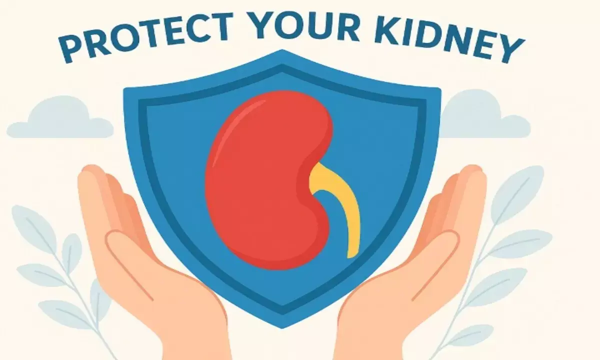 किडनी की दिक्कत कम कैसे करें