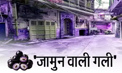 jamun wali gali old delhi jamun wali gali old delhi