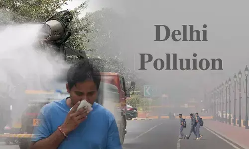 Delhi Pollution