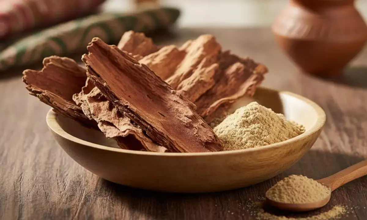 arjun bark arjun chaal benefits