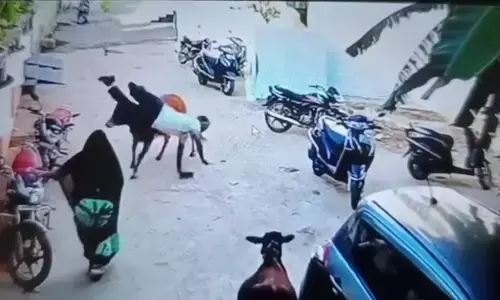 सड़क पर राहगीर को उठाकर पटका, दोनो हाथ हुए फैक्चर, देखिए VIDEO