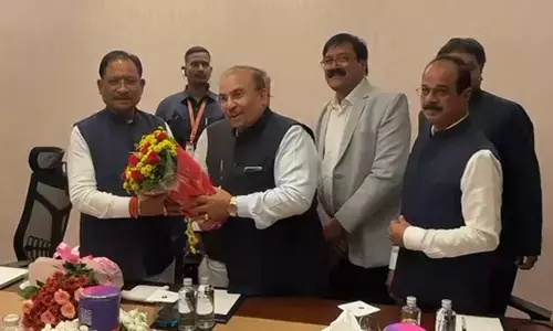 वाडीलाल ग्रुप आईसक्रीम, फ्रोजन फूड और प्रोसेस्ड फूड उत्पादों की मैन्युफैक्चरिंग यूनिट लगाएगा