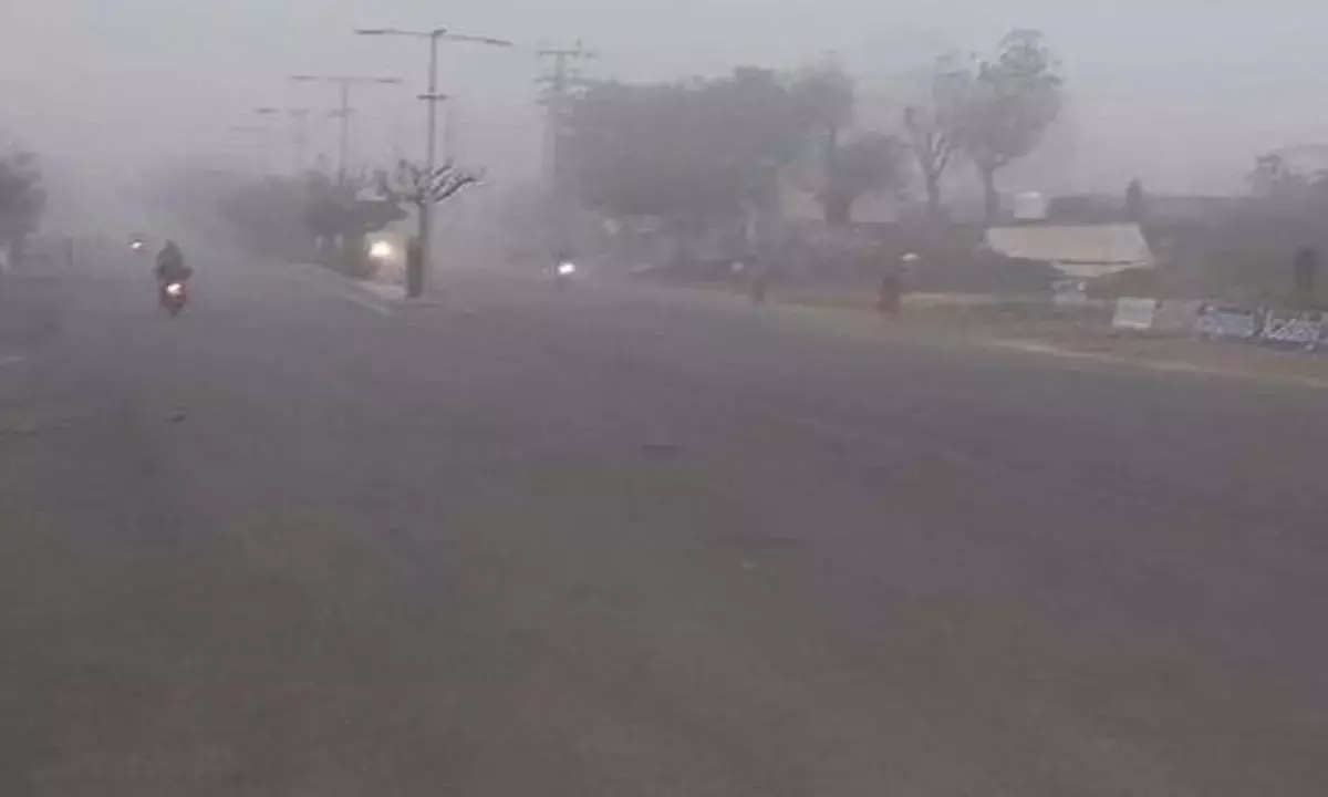 बिलासपुर-रायपुर में शीतलहर जैसे हालात : मैनपाट में जमी ओस की बूंदें,  पारा 4 डिग्री तक उतरा