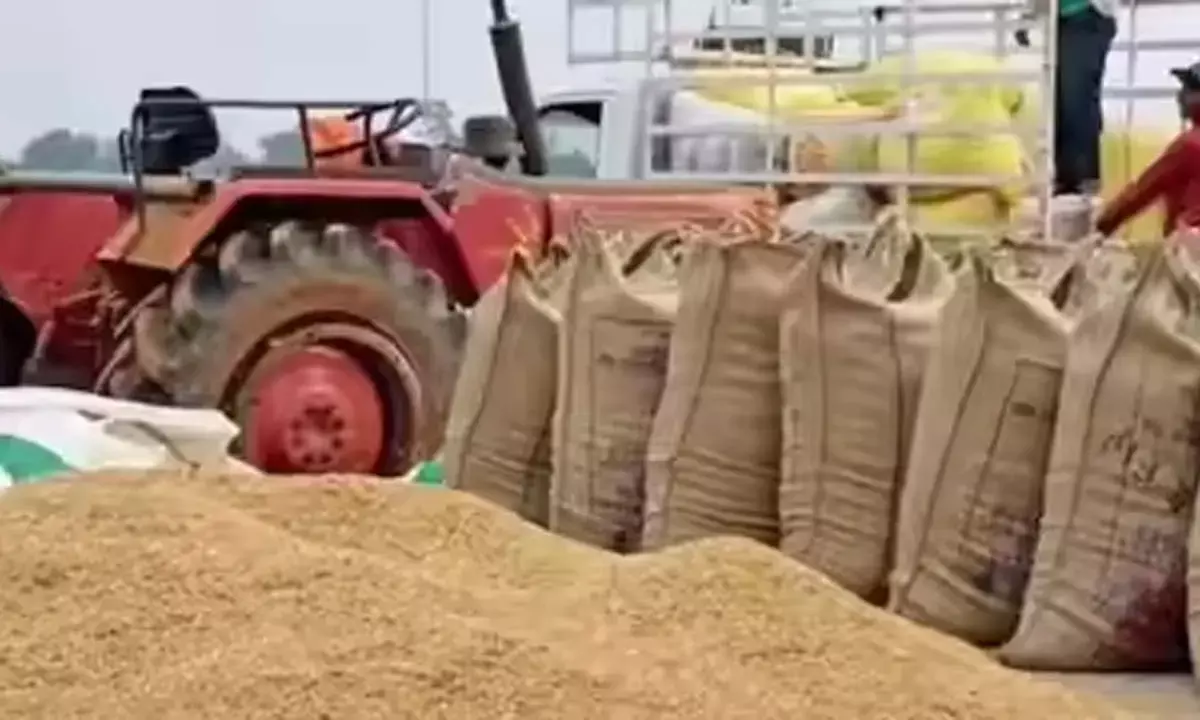 सोसायटी कर्मियों की हड़ताल : संकट गहराया, धान खरीदी के सॉफ्टवेयर का नहीं हो पाया ट्रायल रन