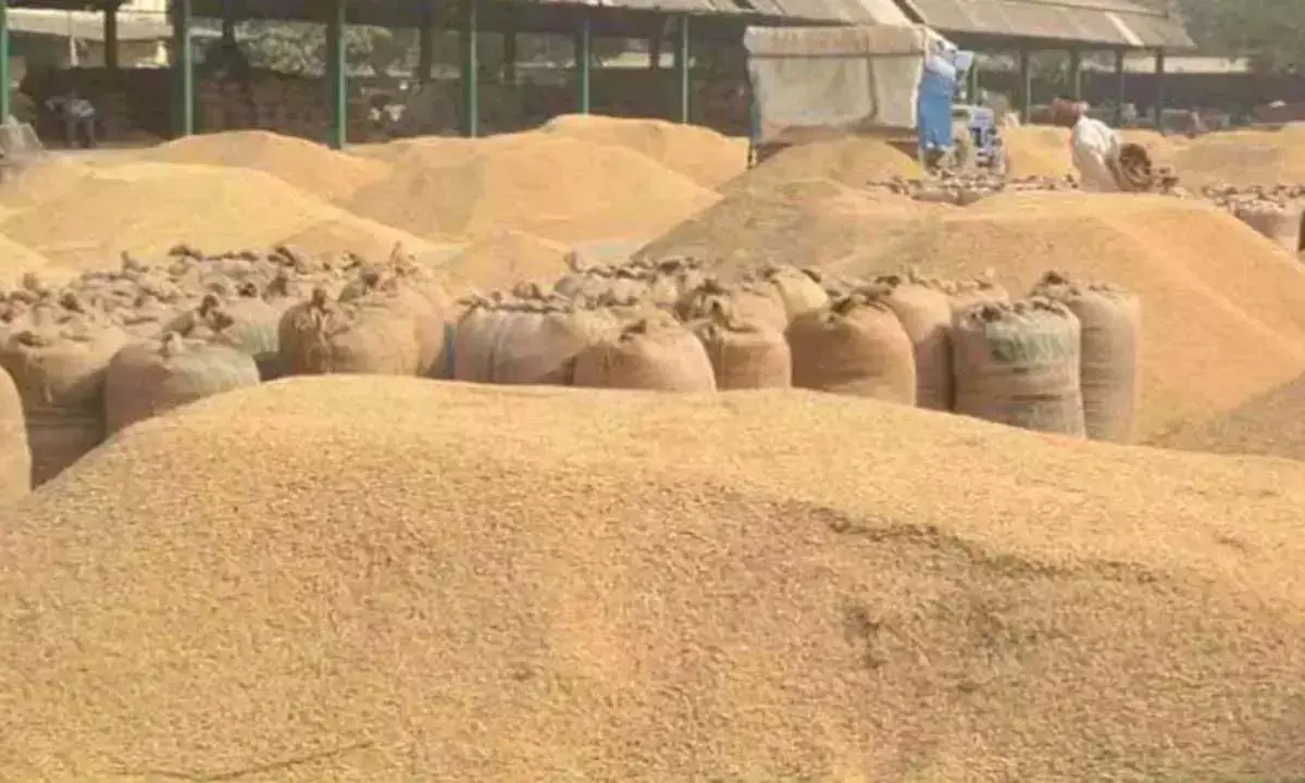 हड़ताल अवैध, धान खरीदी 15 से ही : सरकार अब दूसरे विभाग के कर्मचारियों को करेगी तैनात