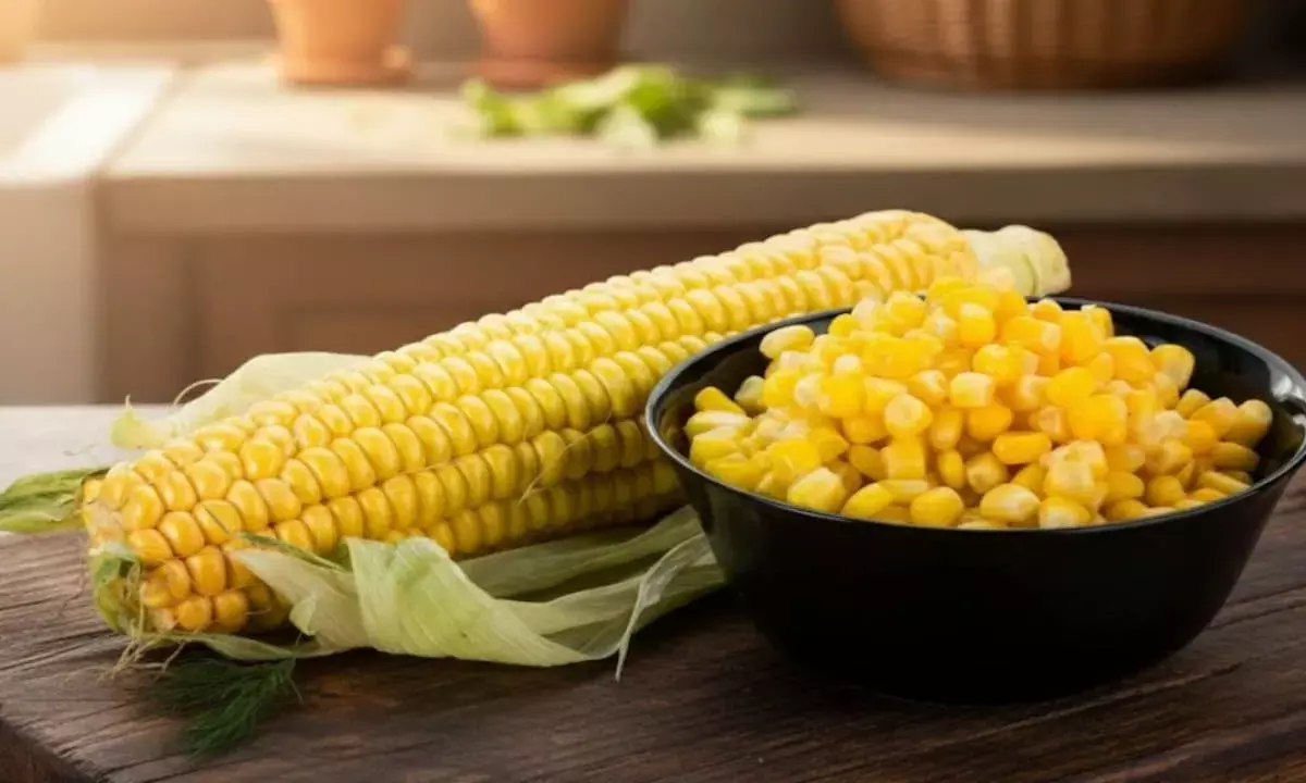 sweet corn side effects in five health conditions