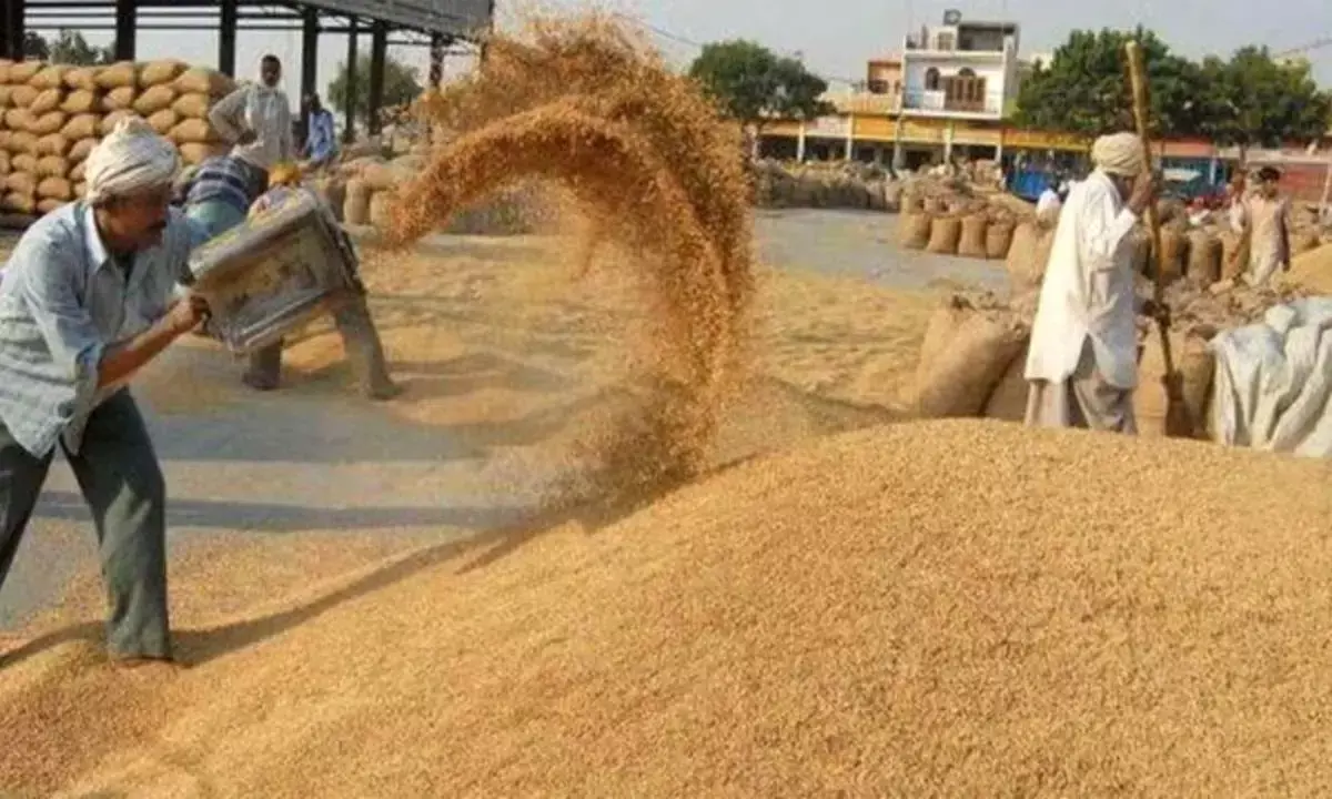 धान खरीदी की राह हुई आसान, :  2 लाख किसानों ने किया एप डाउनलोड, 18 हजार को टोकन