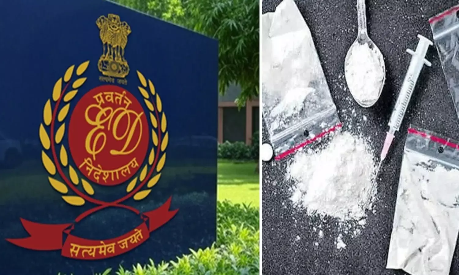 ED Raids In Delhi-NCR