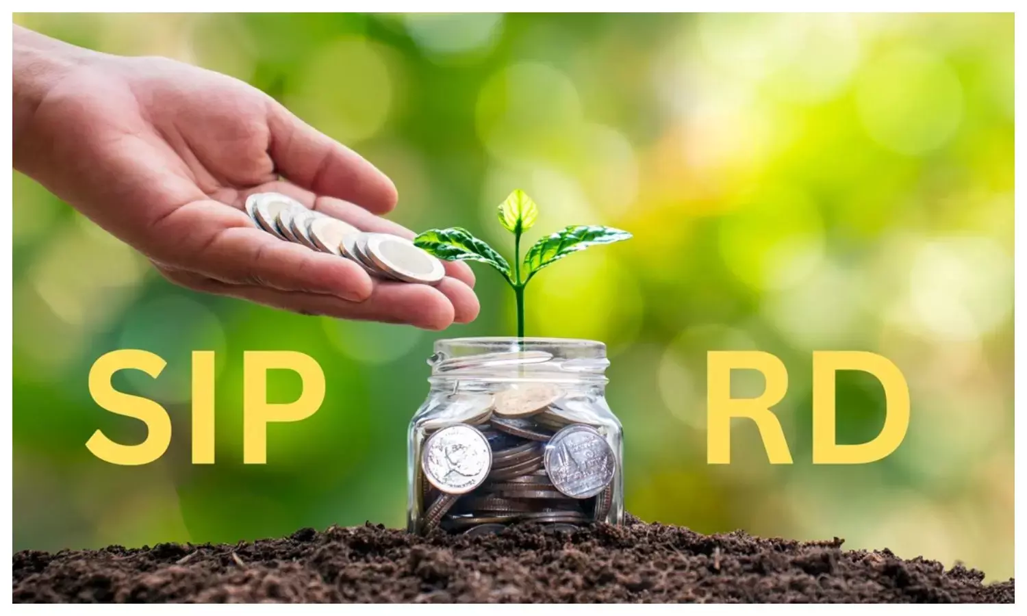 SIP vs RD Wedding Goal