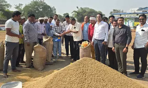 छत्तीसगढ़ में धान खरीदी शुरू छत्तीसगढ़ में धान खरीदी शुरू