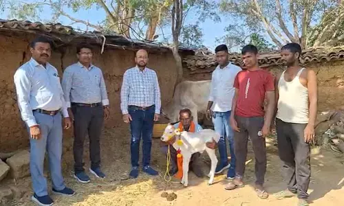वैज्ञानिकों के सफल प्रयोग से किसान के घर जश्न का माहौल